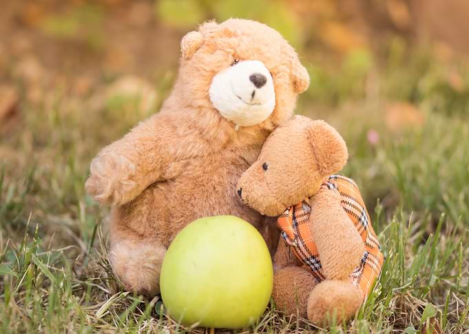 teddy bears