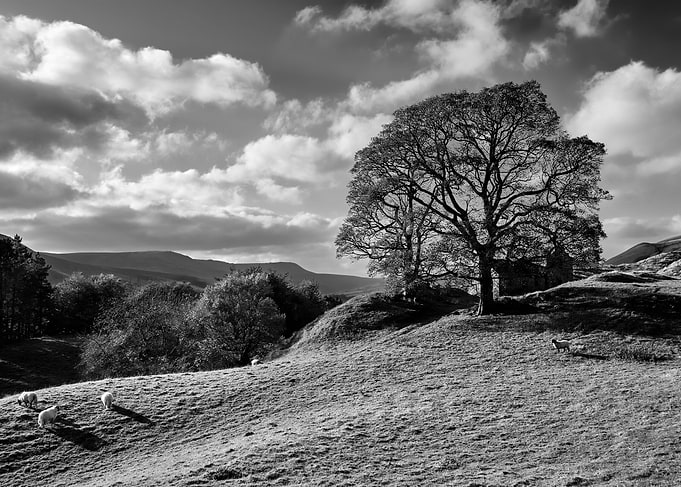 Peak District