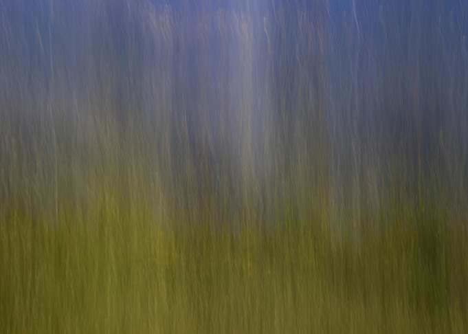 DreamLand I