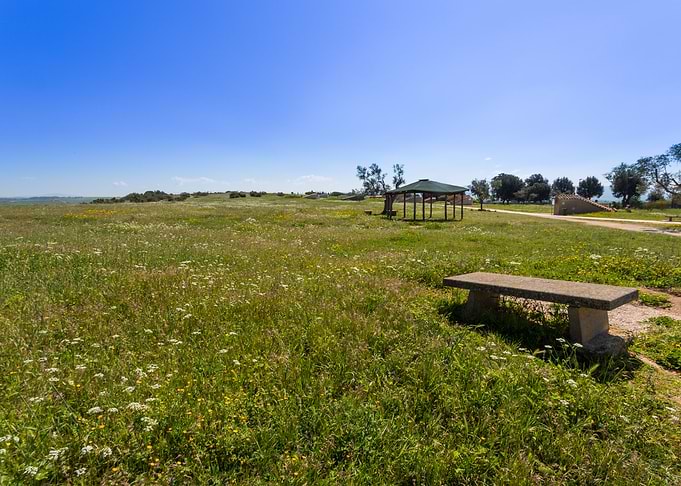 Tarquinia countryside