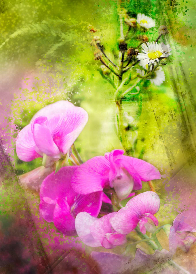 Sweet peas