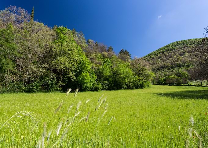 Orpiano countryside Marche