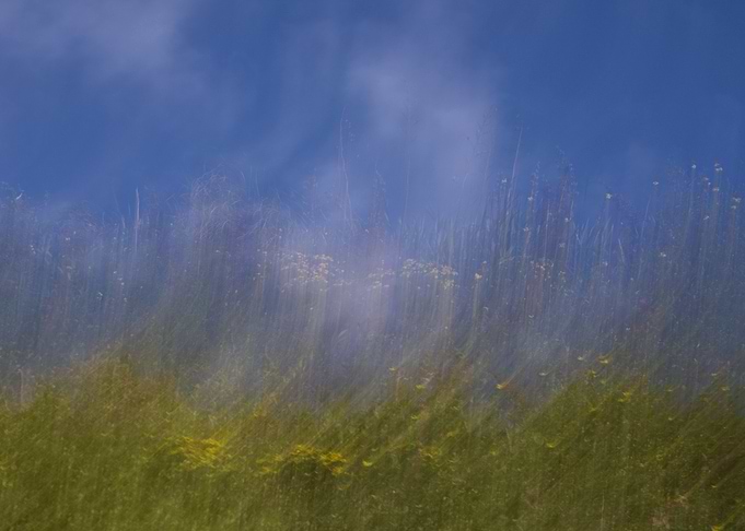 DreamLand II