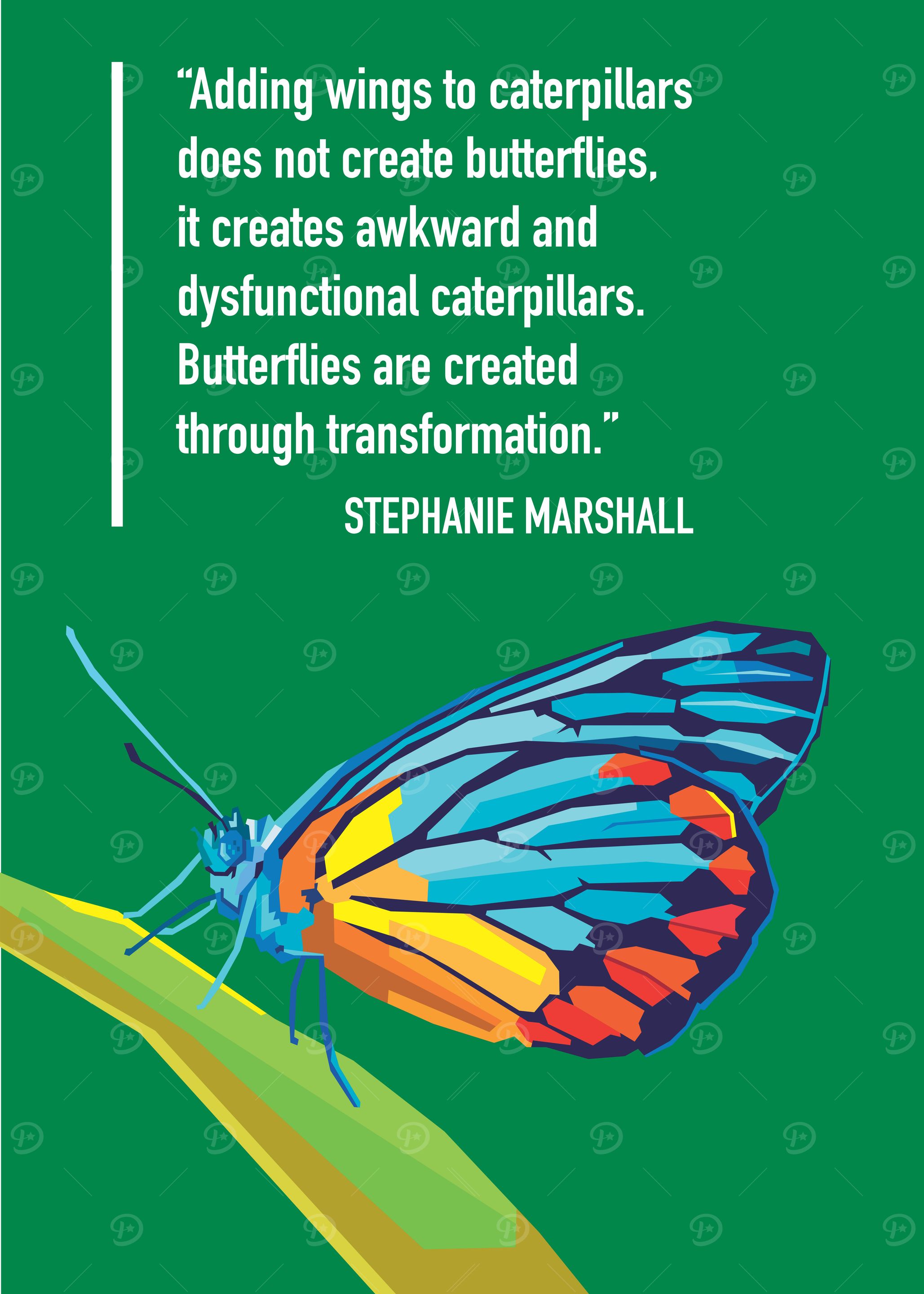 The Butterfly