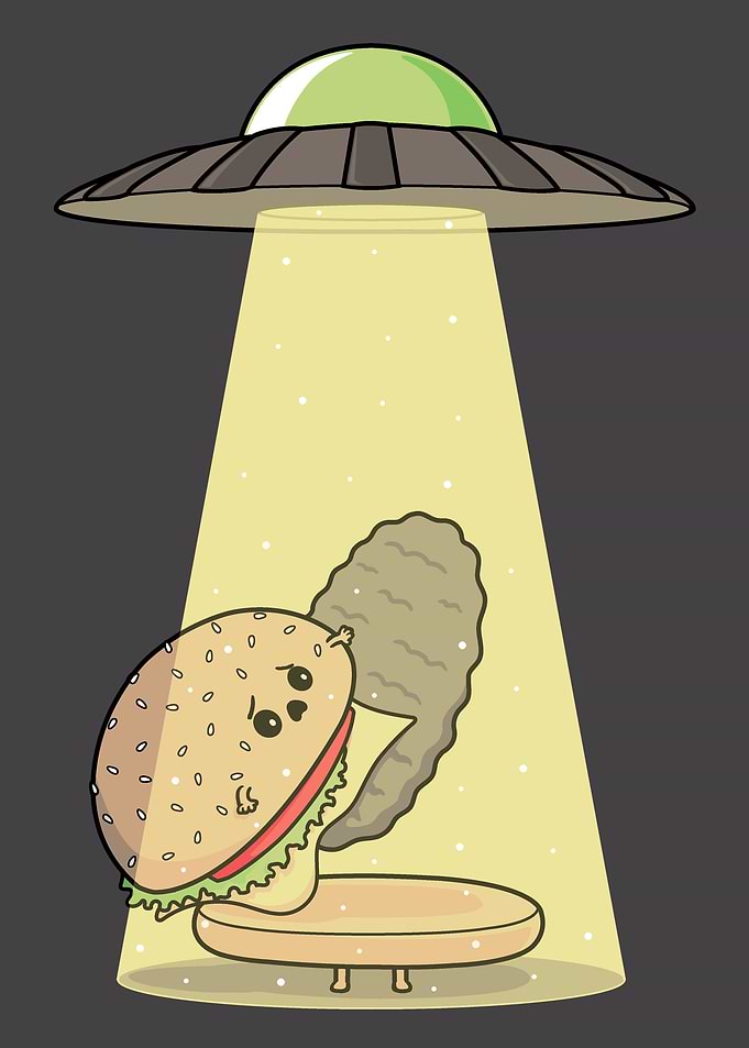Burger Abduction