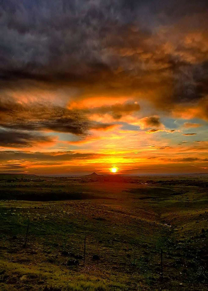 Golden Sunrise
