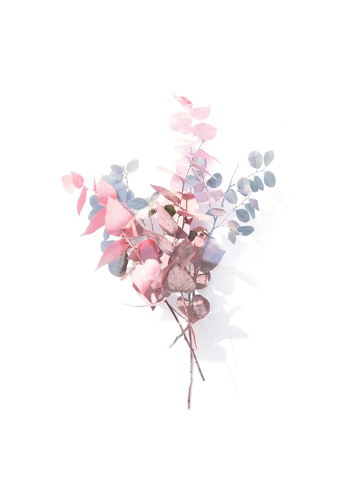 Flower3