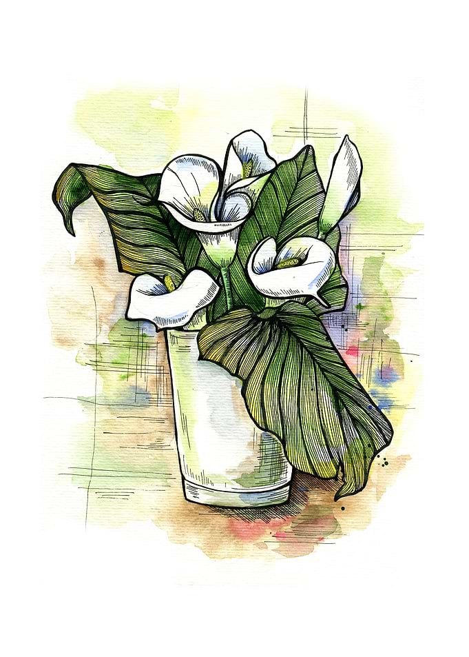 Callas
