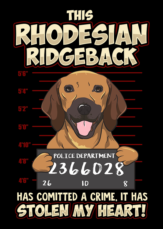 Rhodesian Ridgeback
