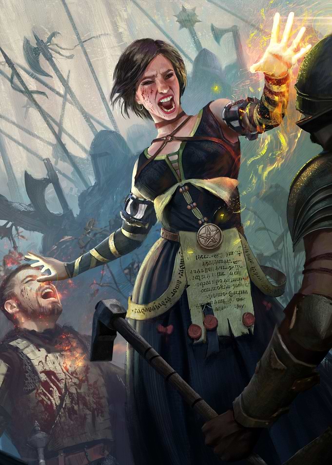 Fringilla Vigo