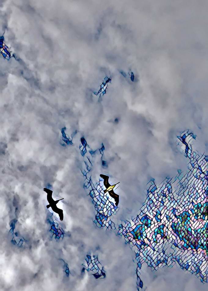 The flight
