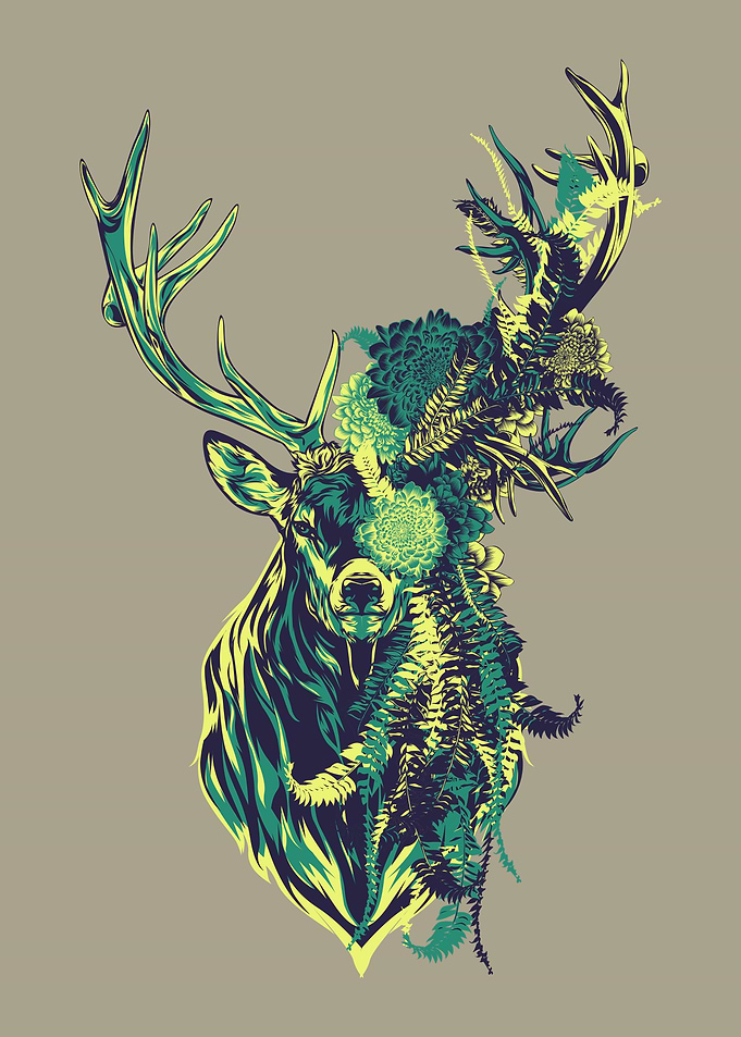 deer