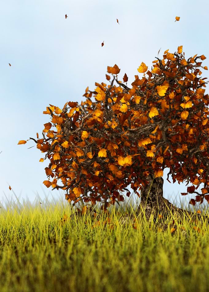 Autumn Tree Portrait