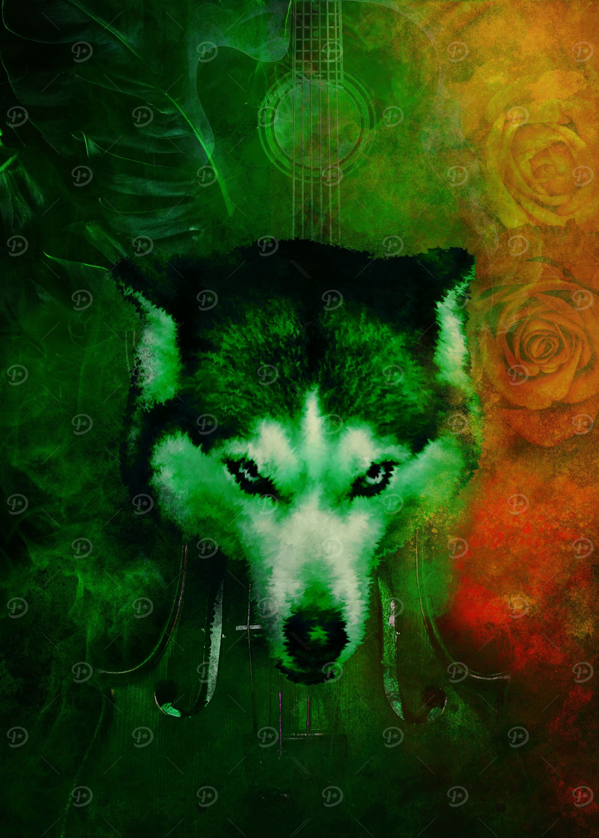 Wolf Violin Music