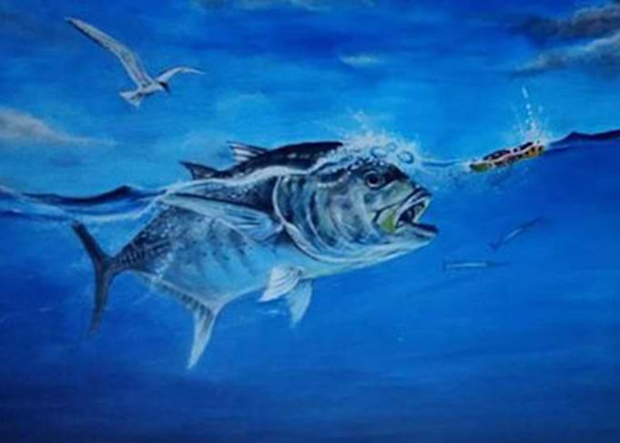 Fish and Bird feeding