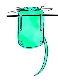 Hanging Green Cat