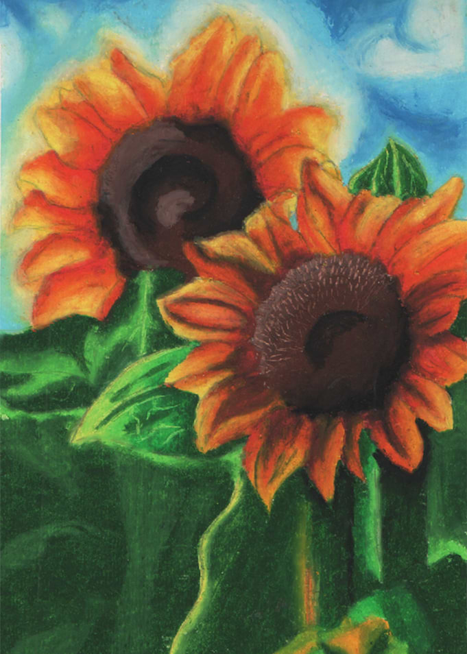 Sunny Day