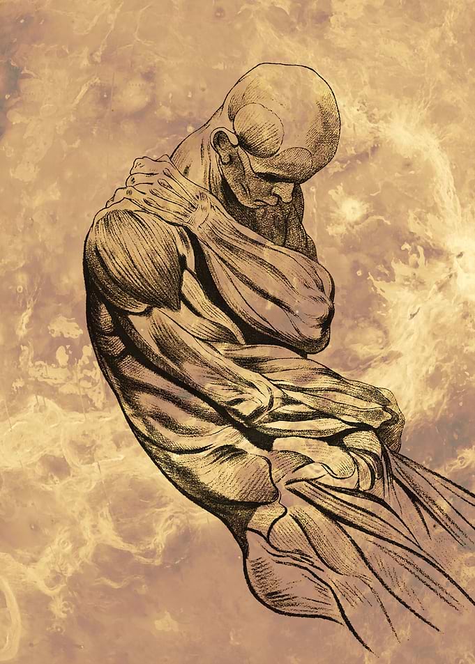Anatomy Design Human Body