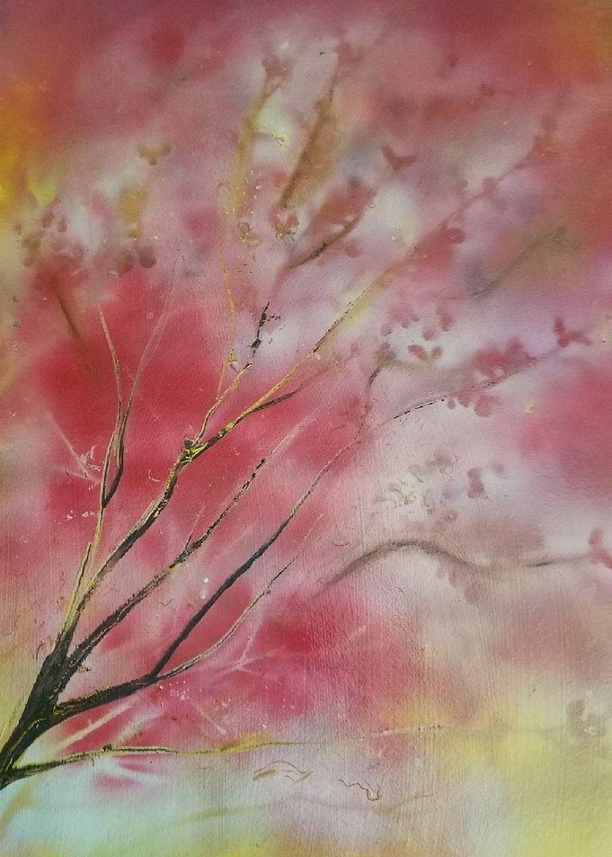 Cherry Blossom