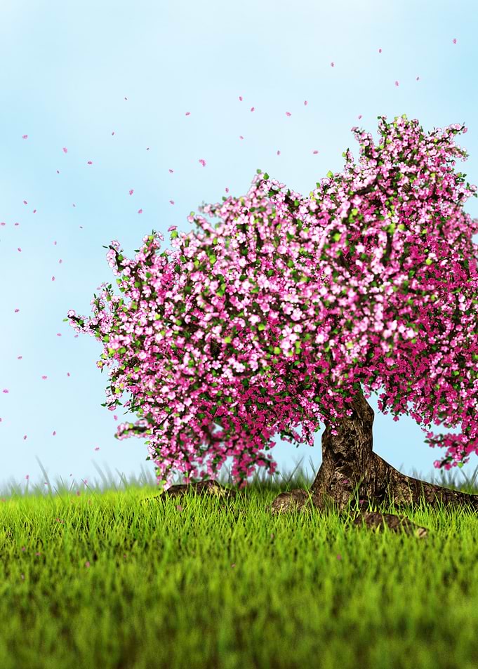 Spring Tree Portrait