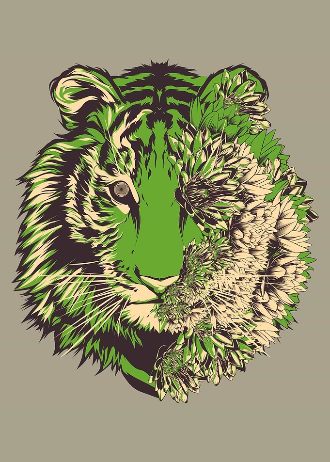 tiger