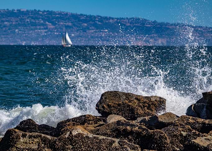 White sail