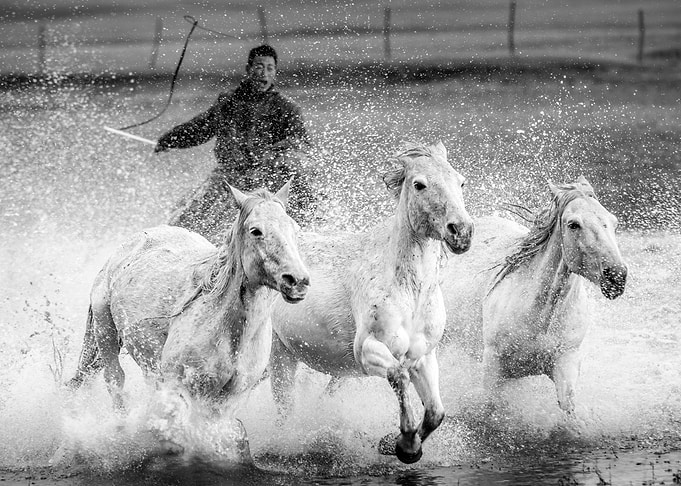 Charge
