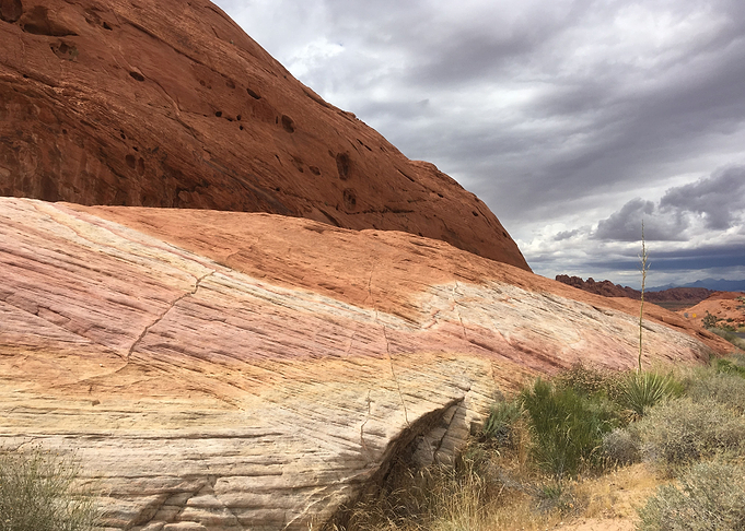 Rainbow Earth Tones
