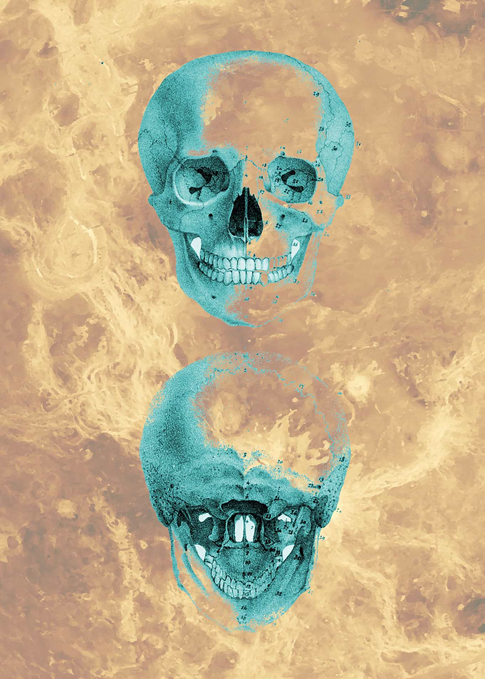 Anatomy Design Skull