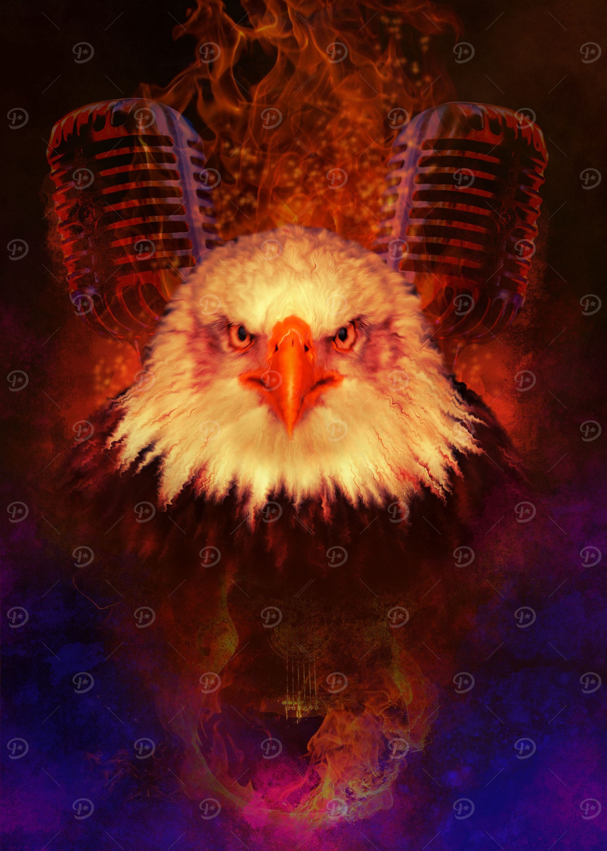 White Head Eagle
