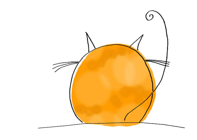 Orange Cat Back