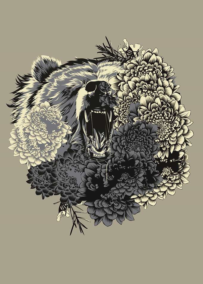 bear