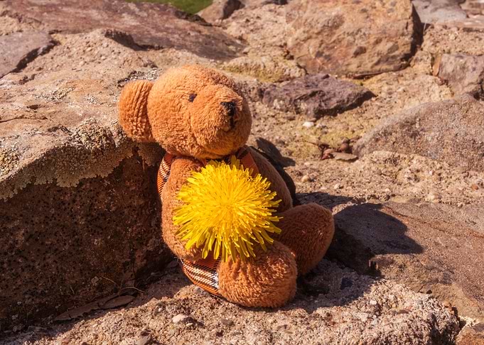 Teddy bear