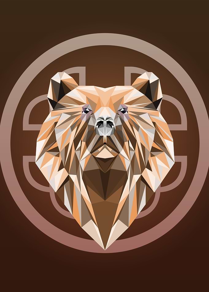 LowPolyBear