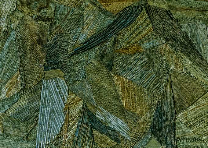 Coconut Net Collage
