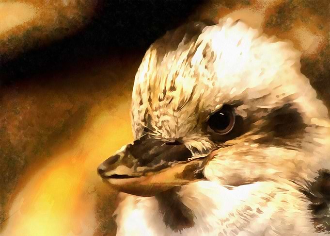 Attitude With Feathers