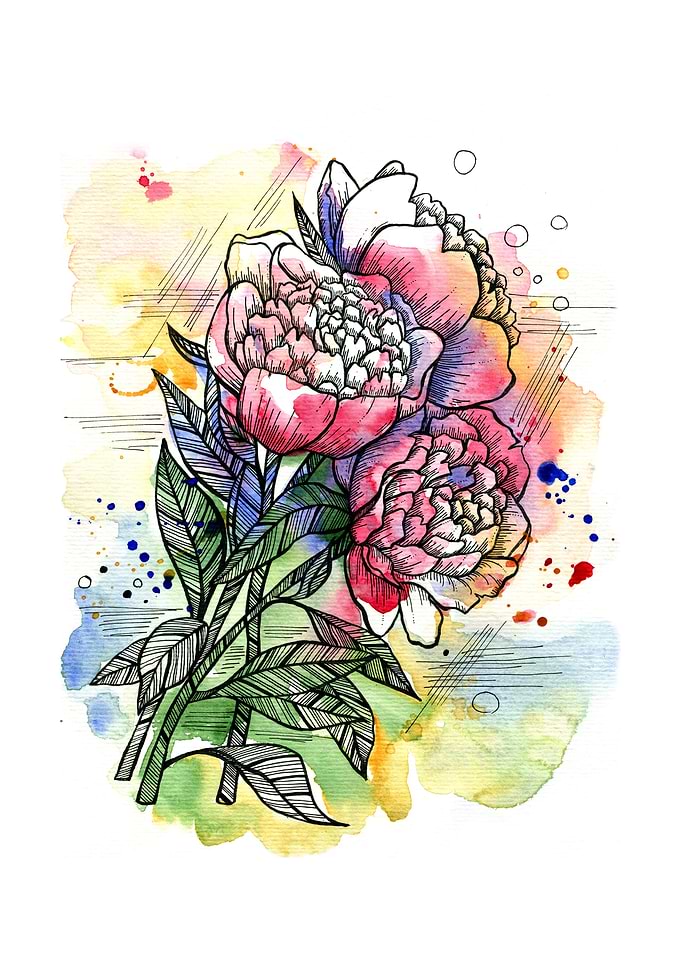 Summer peonies