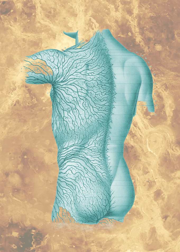 Anatomy Design System 2
