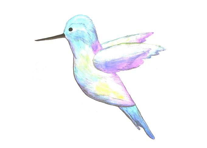 A cute Hummingbird
