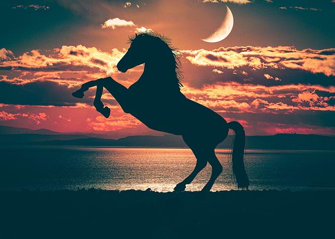 Horse Sunset