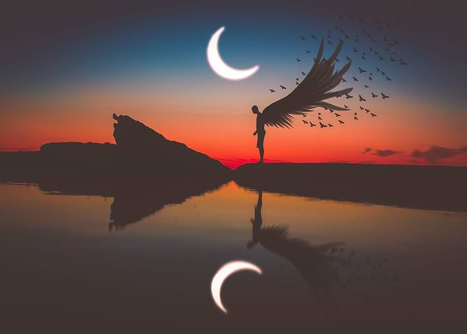 Angel n bird