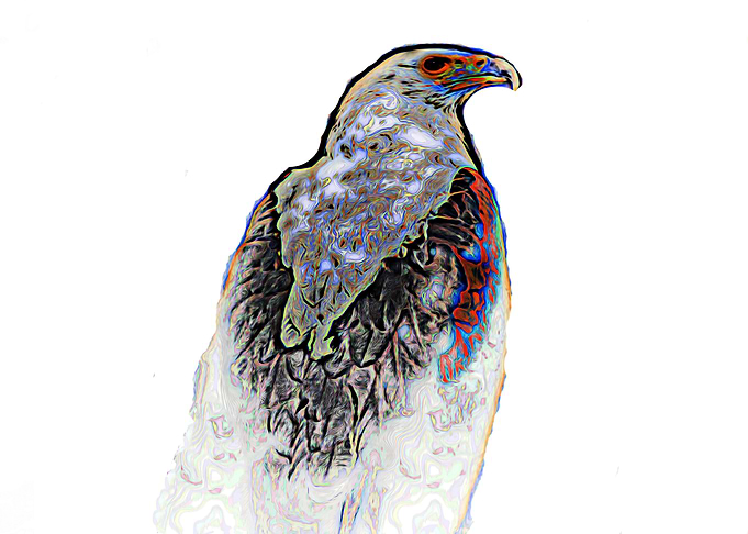 The American Eagle