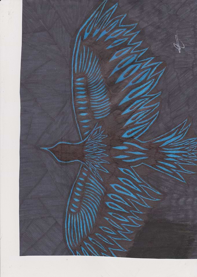 Flight
