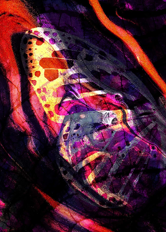 Bird World