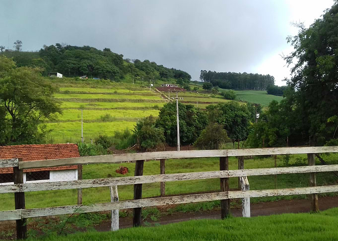 Paisagem do campo