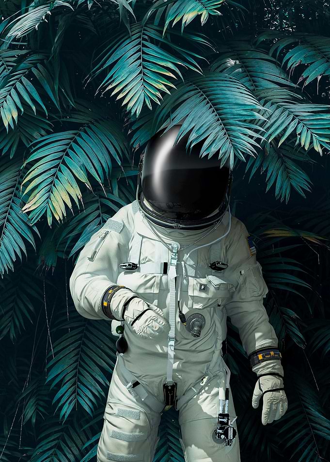 Portrait of a Spaceman