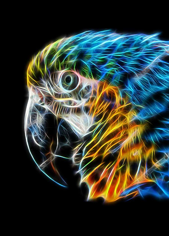 Parrot