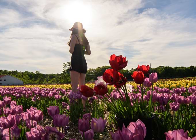 Girl in Tulips Portrait