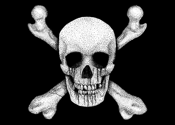 Jolly Roger Pirate Skull
