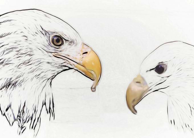 Eagle and his wife